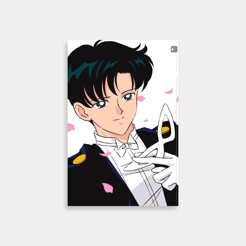 Mamoru Chiba Black Hair Anime Poster - Sailor Moon Wall Art