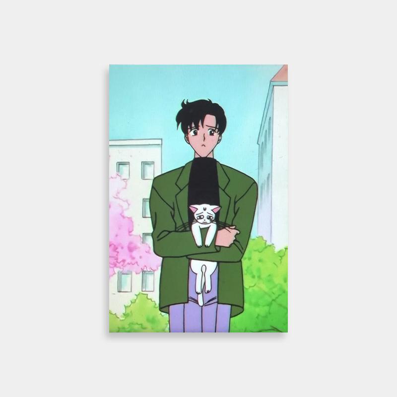 Mamoru Chiba with Cat Poster - Sailor Moon Anime Art