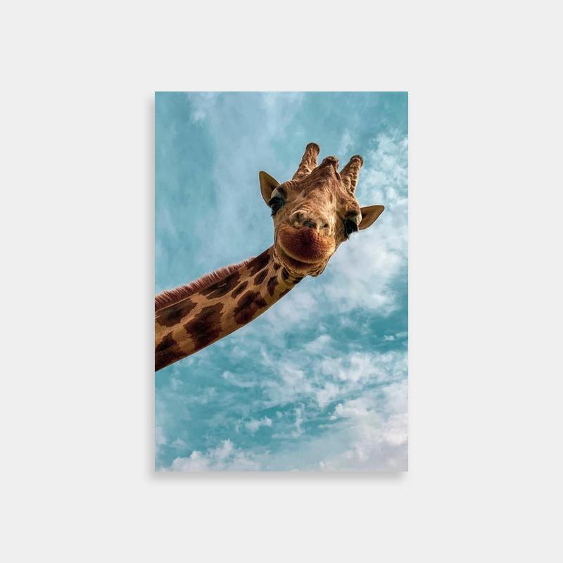 Fuu Samurai Champloo Poster - Giraffe Against Blue Sky Art