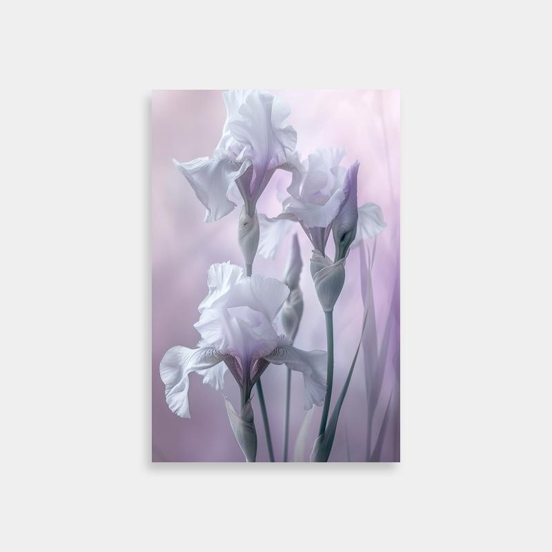 Fire Force Iris Flowers Poster - White Flowers with Pink Background Art